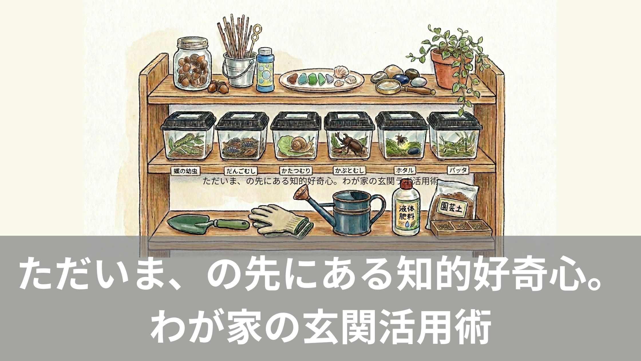 わが家の玄関の三段棚のイメージイラスト