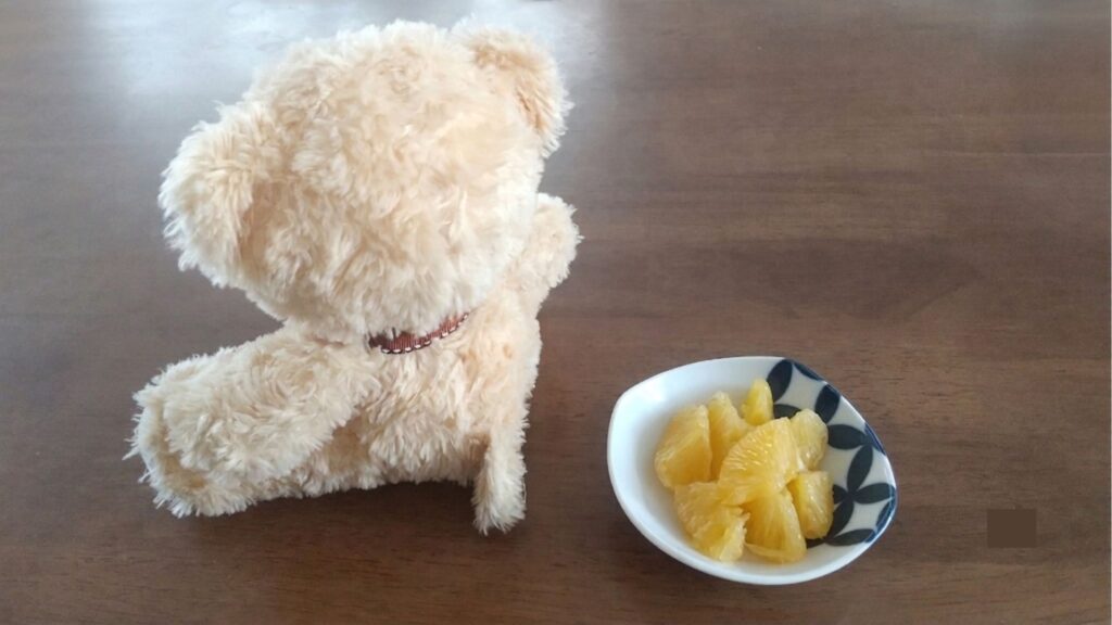一口柑橘とクマのぬいぐるみ