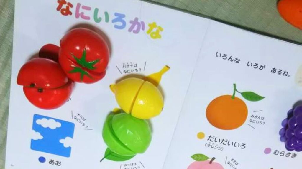 色の書いてある図鑑とその色のおもちゃ