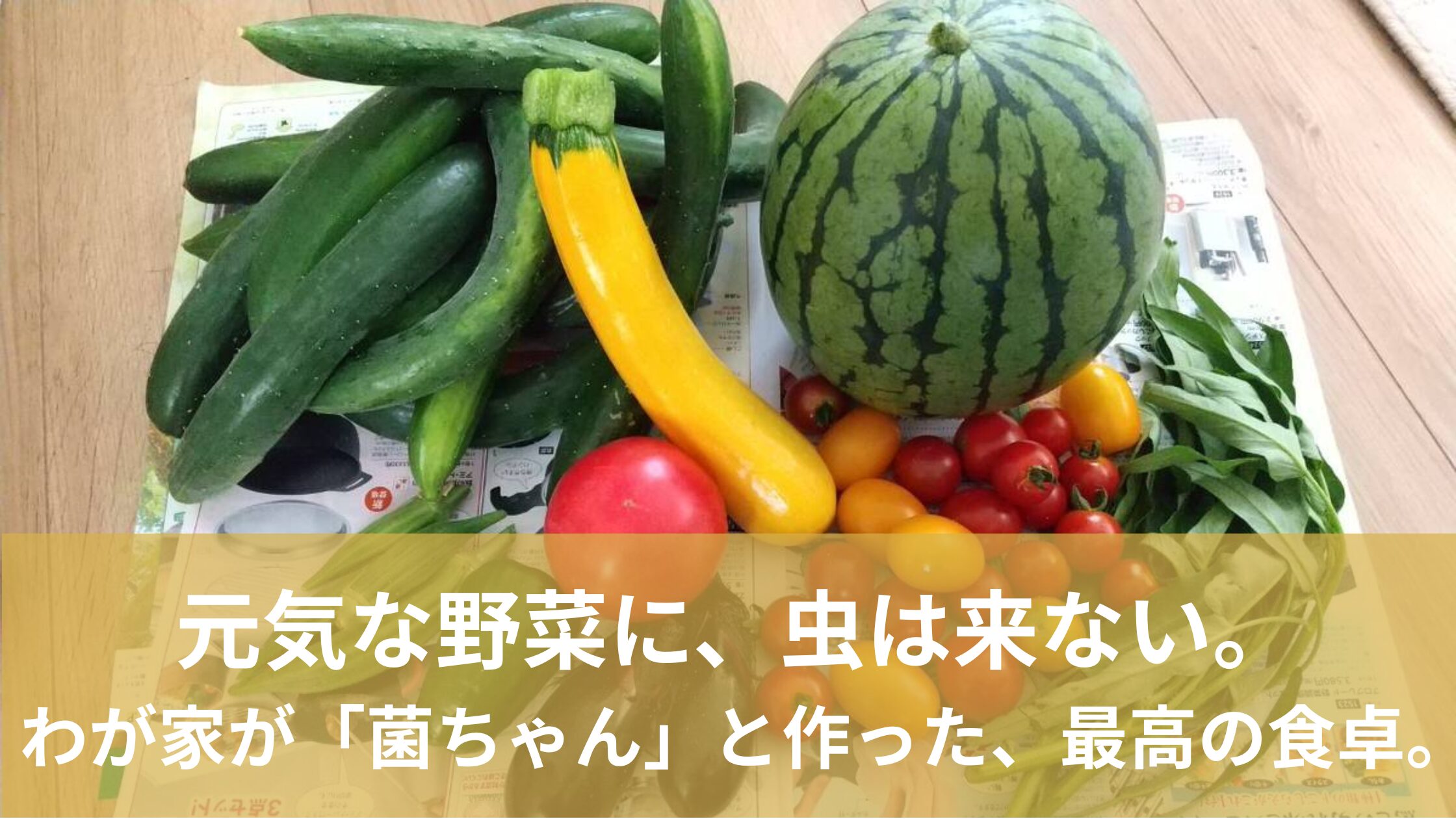 菌ちゃん野菜